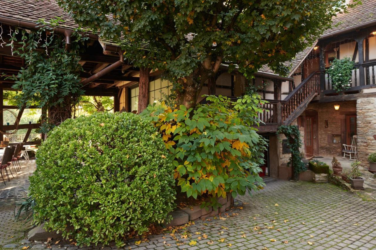 La Cour De Lise Maison D'Hotes Et Spa Willgottheim Exterior foto