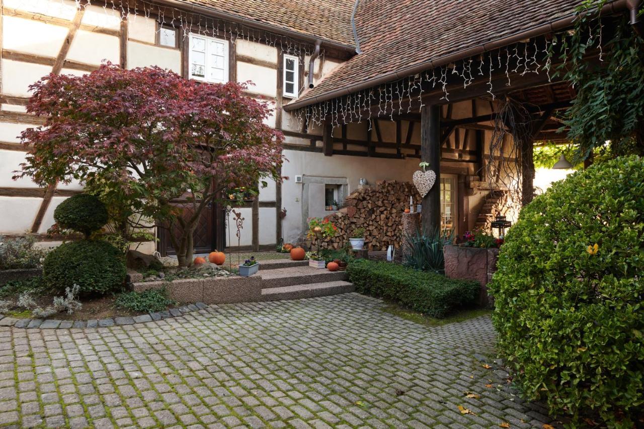 La Cour De Lise Maison D'Hotes Et Spa Willgottheim Exterior foto